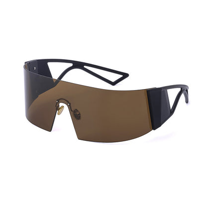 One Piece Sunglasses